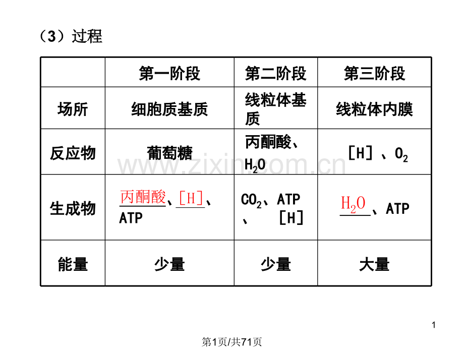 细胞呼吸和新陈代谢基本类型.pptx_第1页