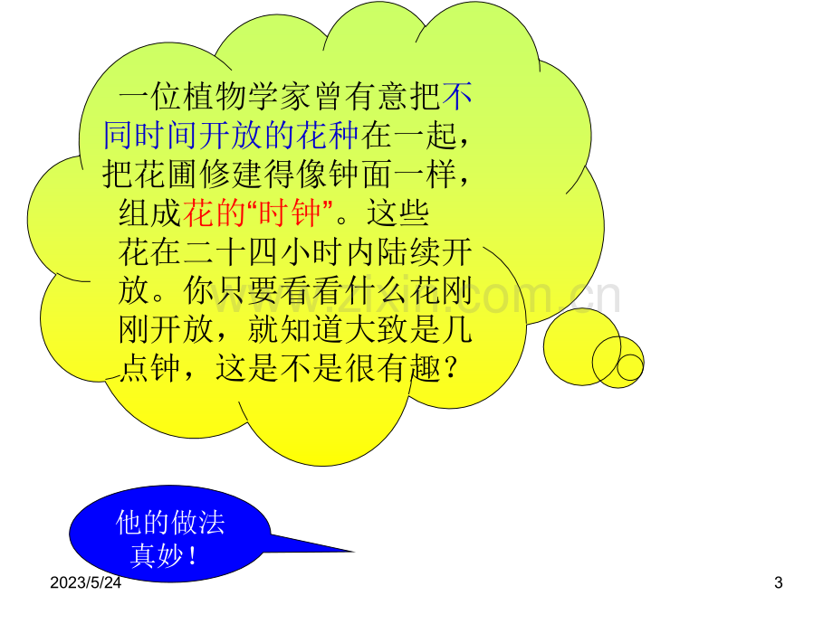 花钟公开课课件.ppt_第3页