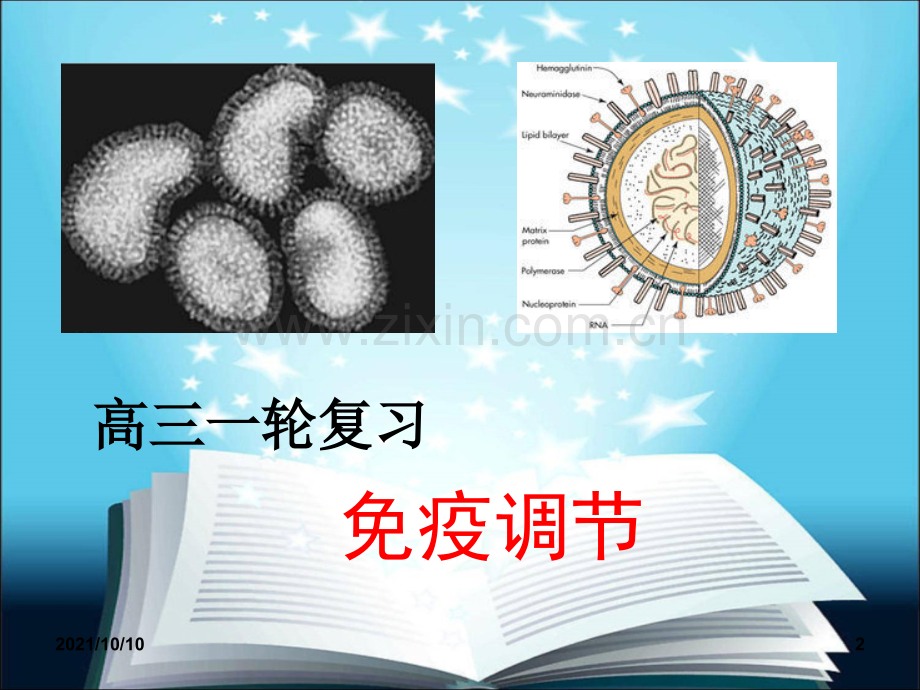 高三生物一轮复习-免疫调节-市优秀课件.ppt_第2页