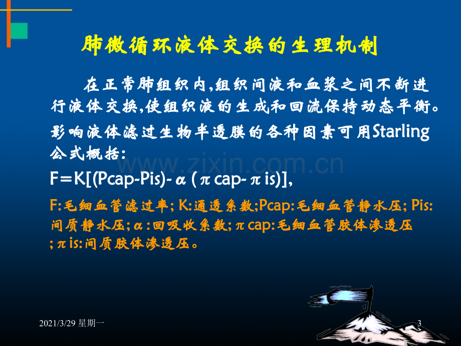 肺水肿的诊断与治疗.ppt_第3页