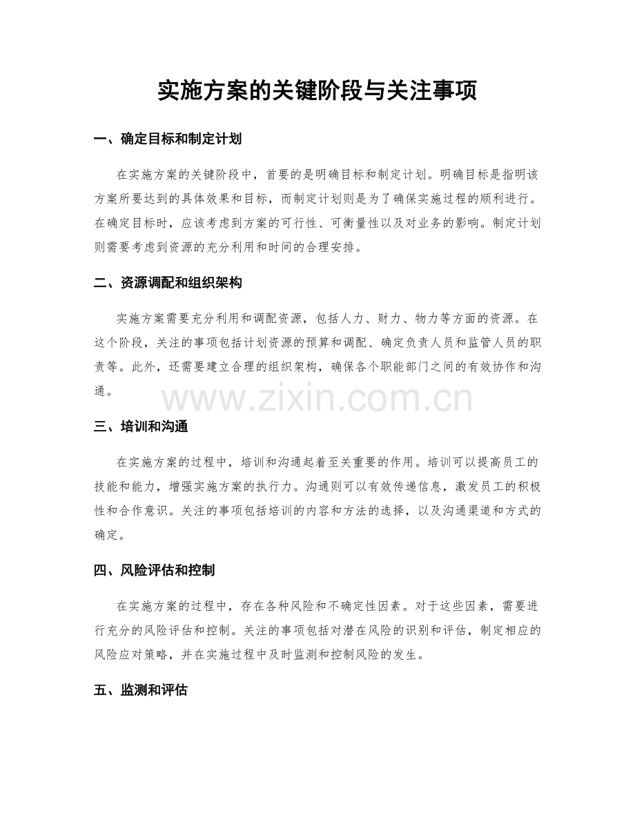 实施方案的关键阶段与关注事项.docx_第1页