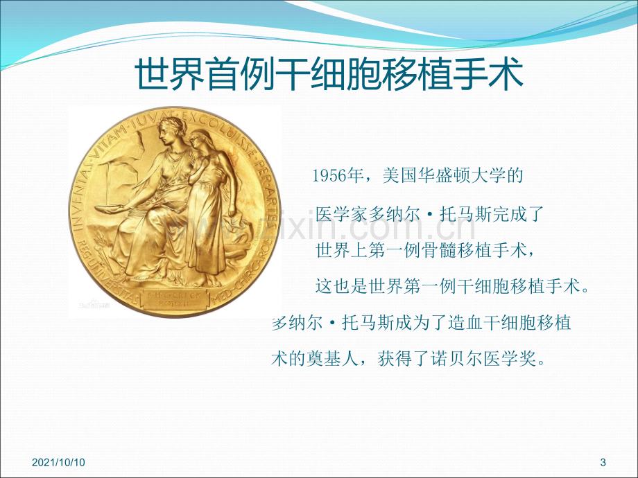 干细胞的分类及应用.ppt_第3页