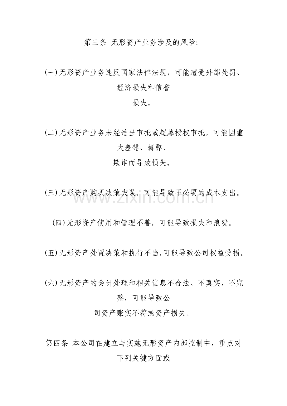 无形资产管理制度.docx_第2页