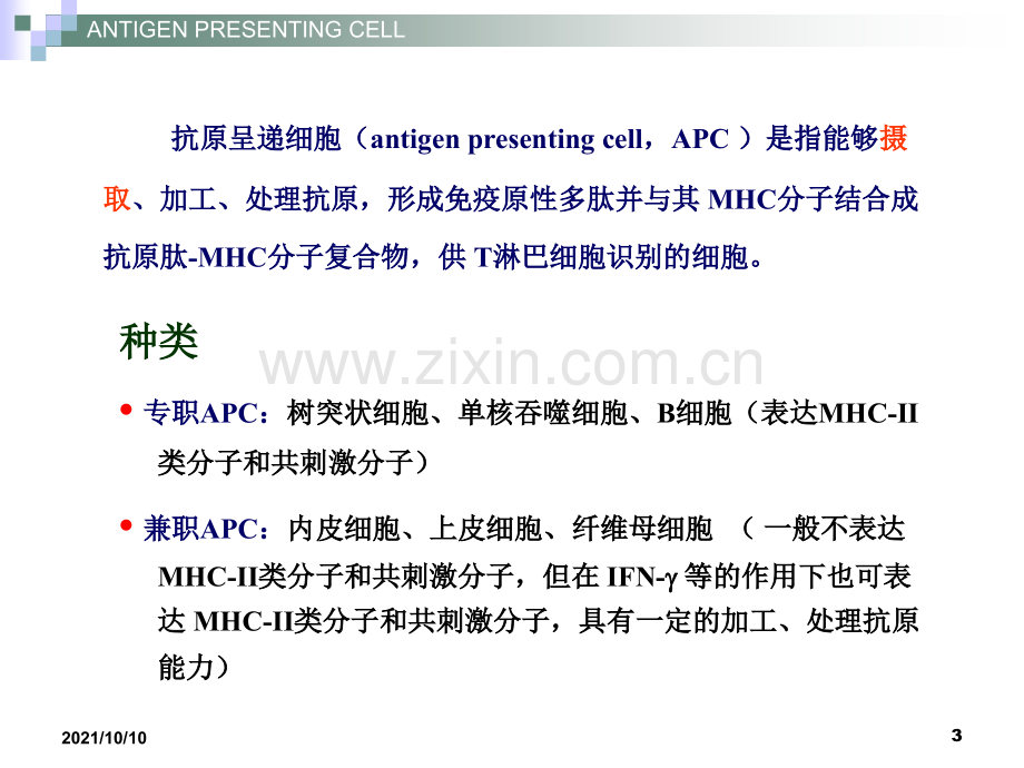 医学免疫学-APC.ppt_第3页