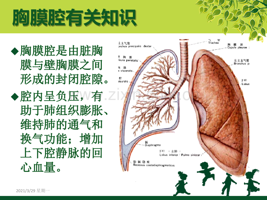 胸腔闭式引流及护理.ppt_第3页