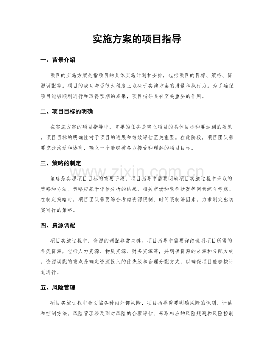 实施方案的项目指导.docx_第1页