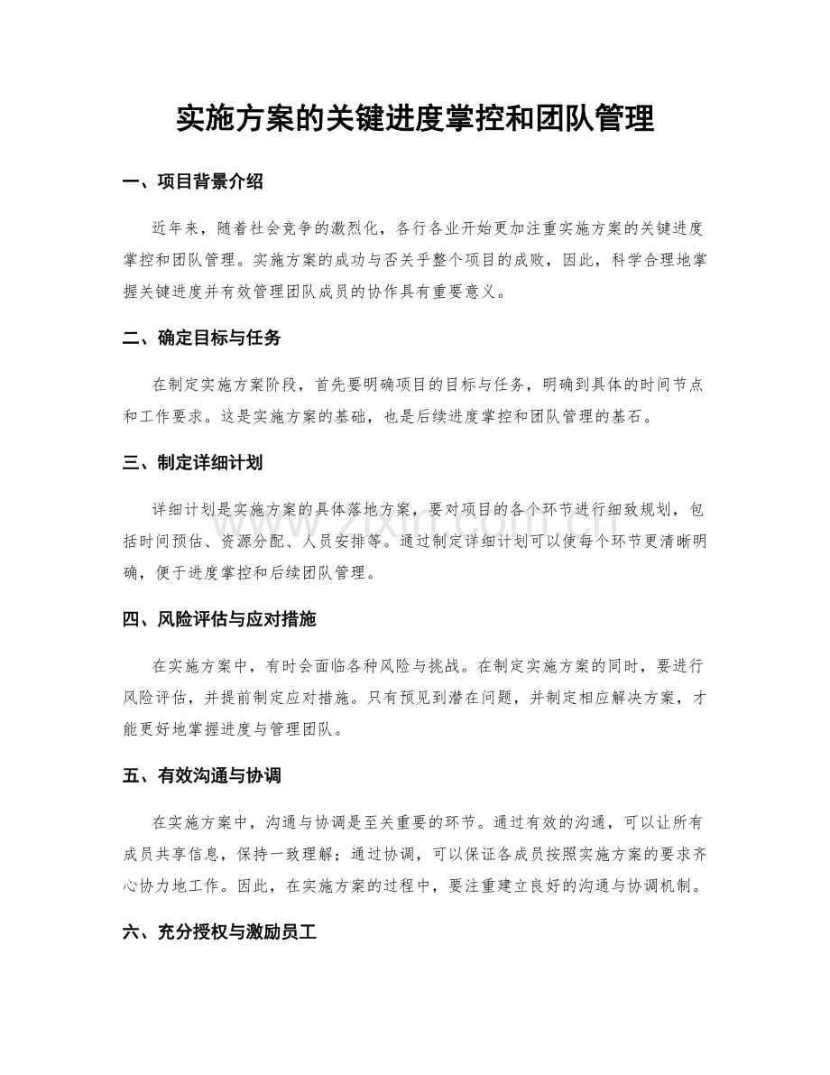 实施方案的关键进度掌控和团队管理.docx_第1页