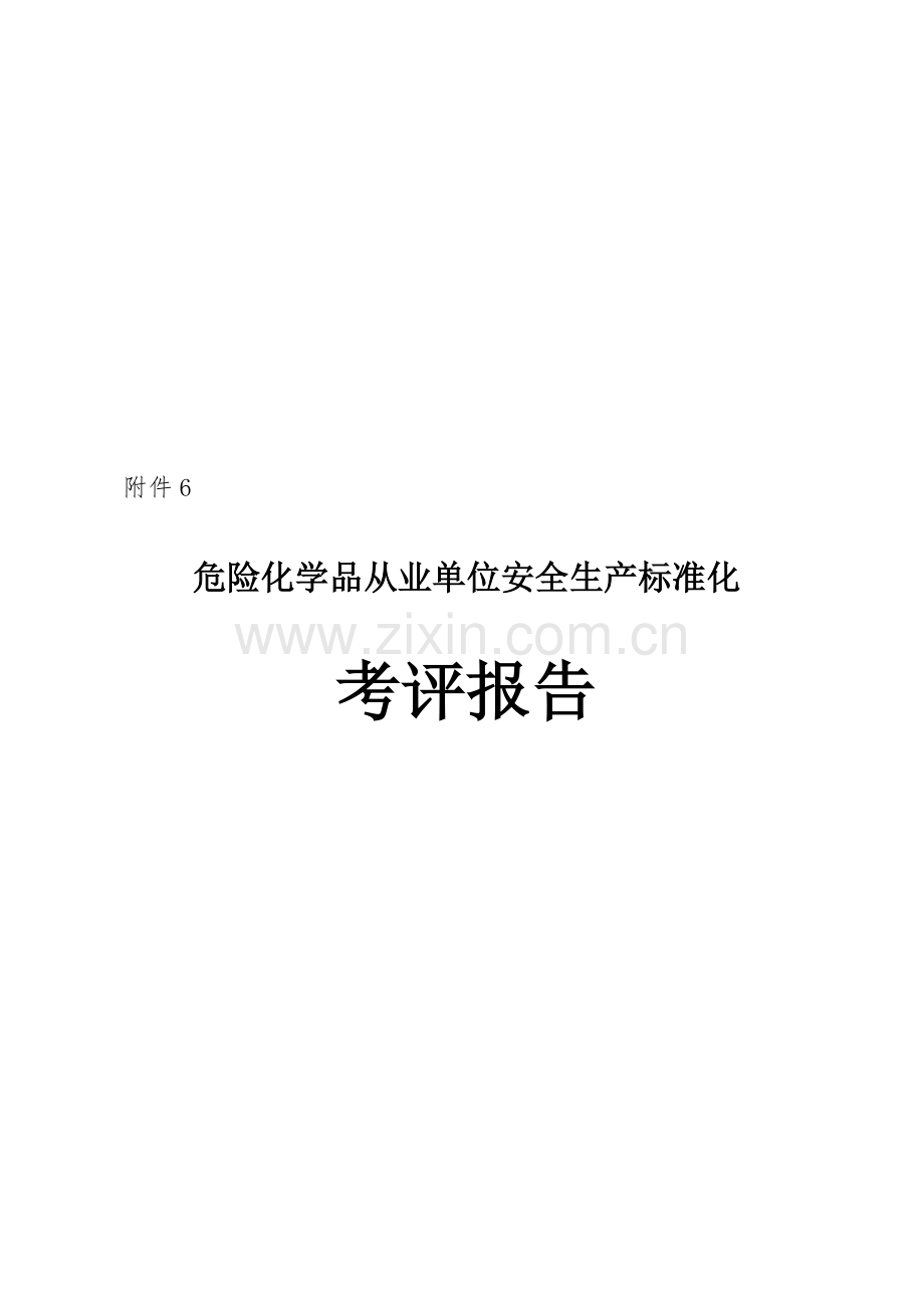 危险化学品从业单位安全生产标准化考评报告..doc_第3页