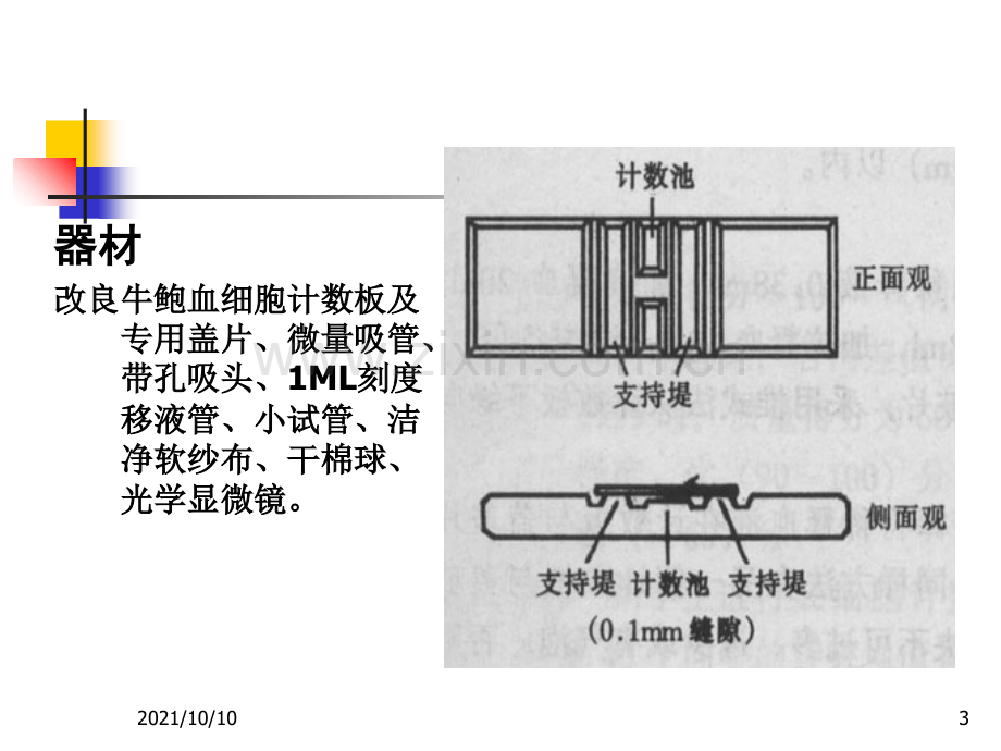 白细胞计数.ppt_第3页