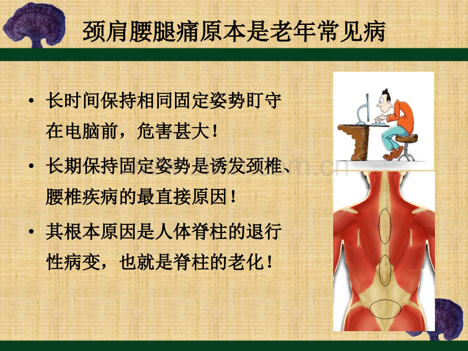 颈肩腰腿痛的防治与自我保健.ppt_第2页