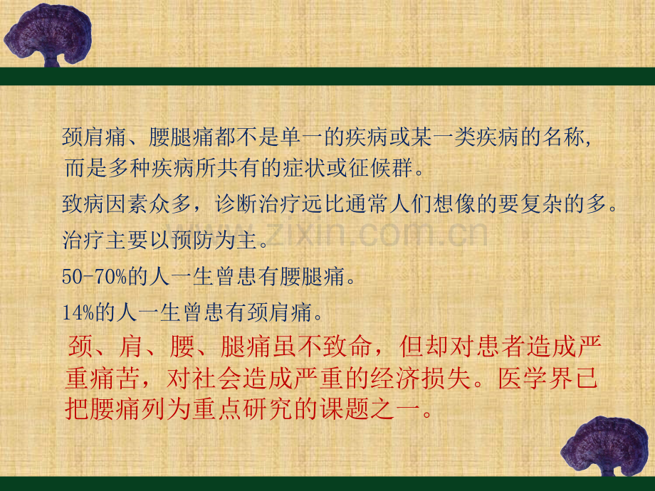 颈肩腰腿痛的防治与自我保健.ppt_第3页