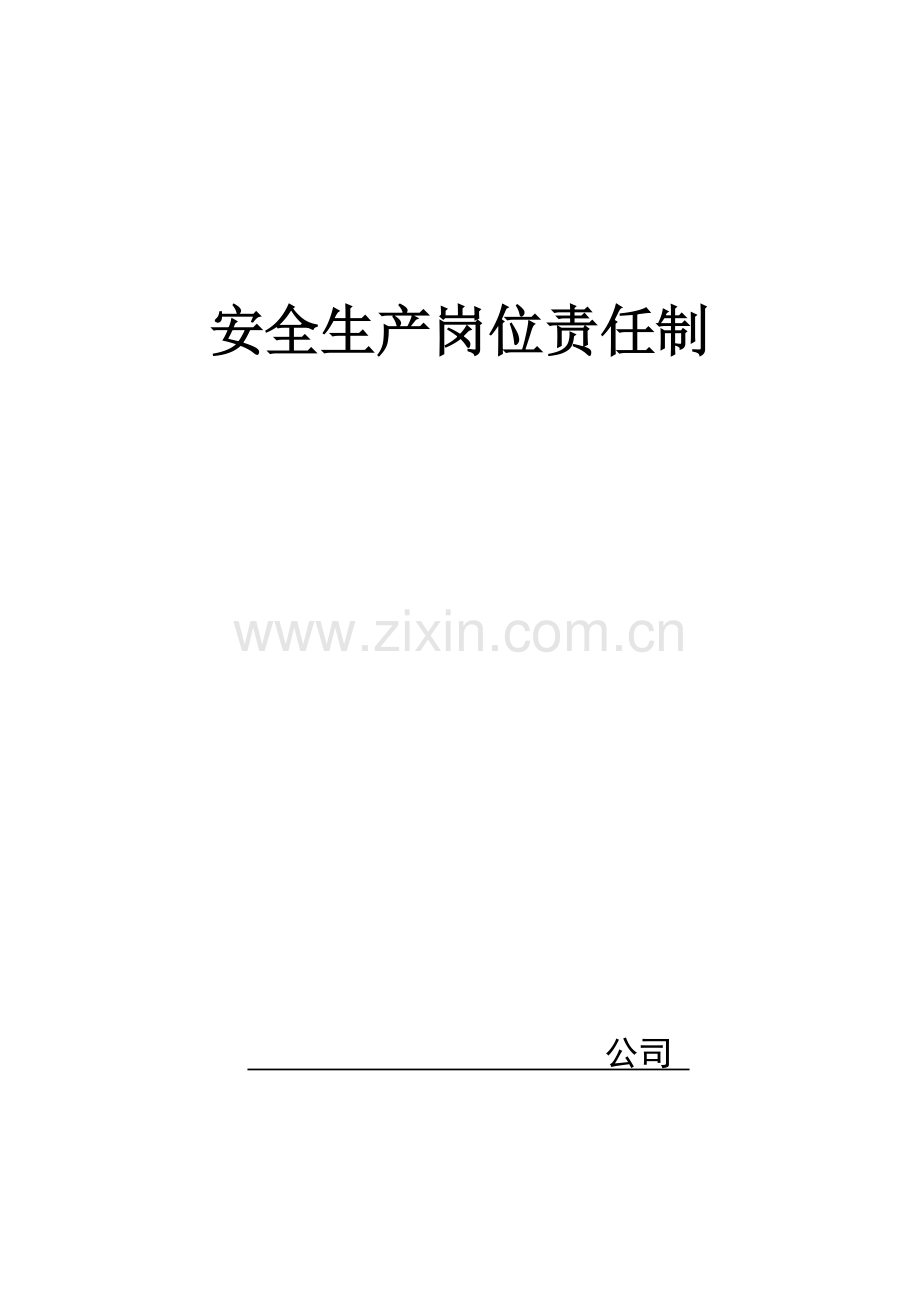 安全生产岗位责任制(公司).doc_第1页