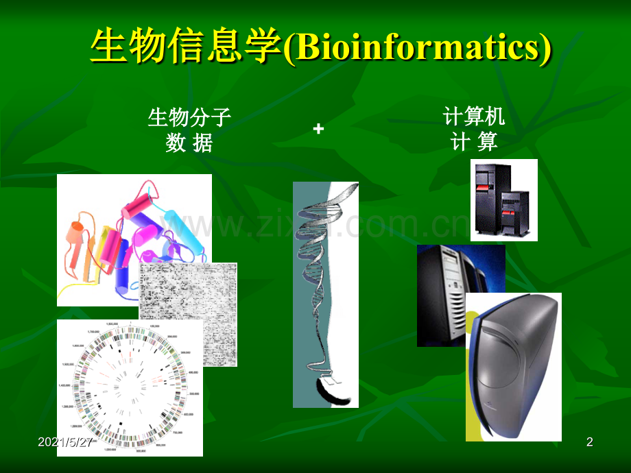 生物信息学的应用.ppt_第2页