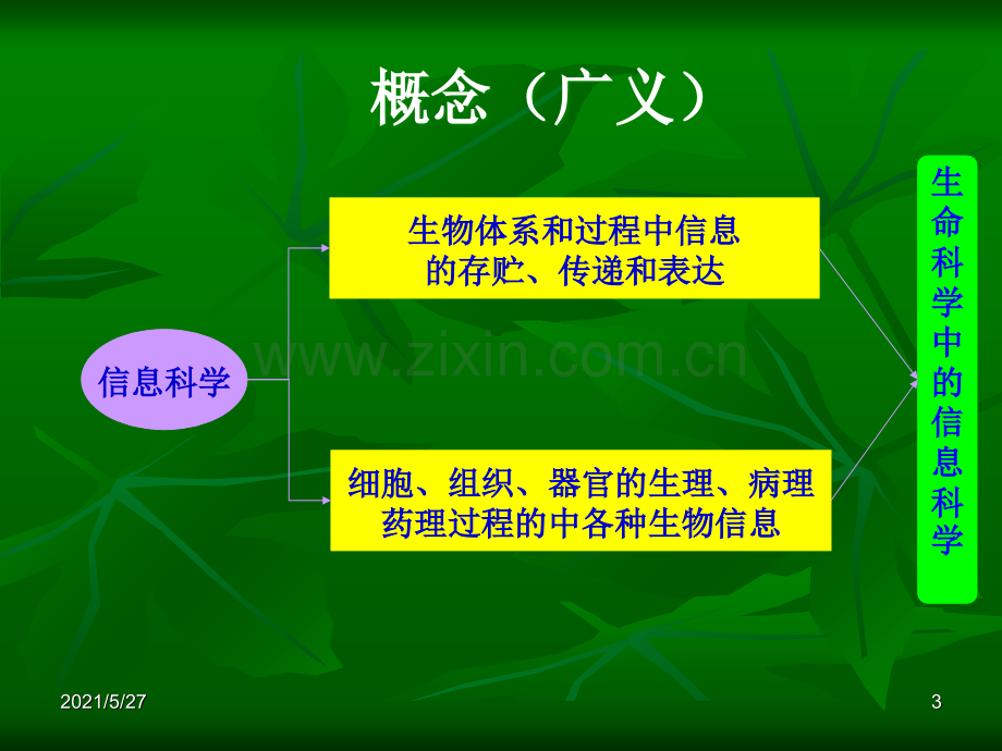 生物信息学的应用.ppt_第3页