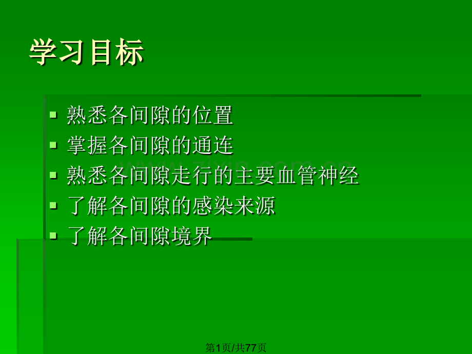 蜂窝组织间隙及通连.pptx_第1页