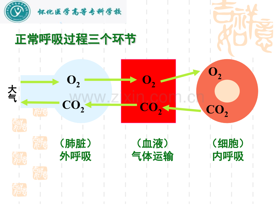 第11章呼吸衰竭.pptx_第1页