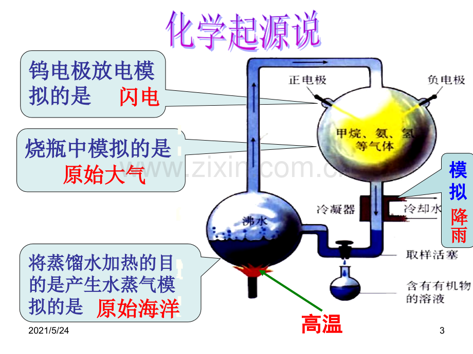 八下生物第三章知识点总结.ppt_第3页