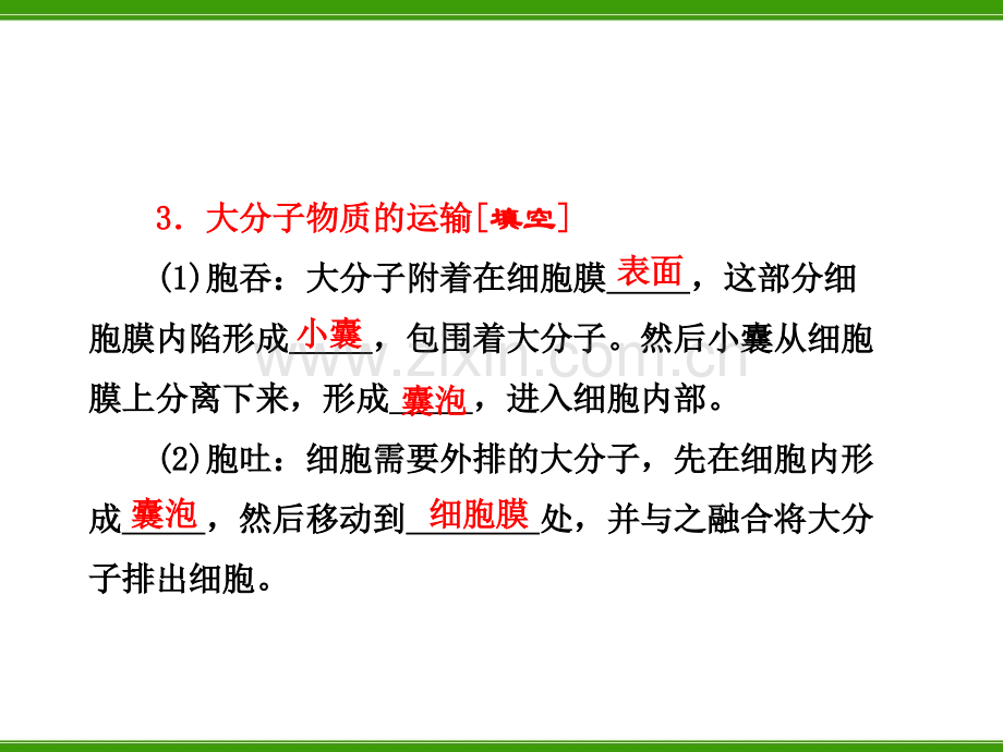 生物膜的流动镶嵌模型物质跨膜运输的方式.pptx_第2页