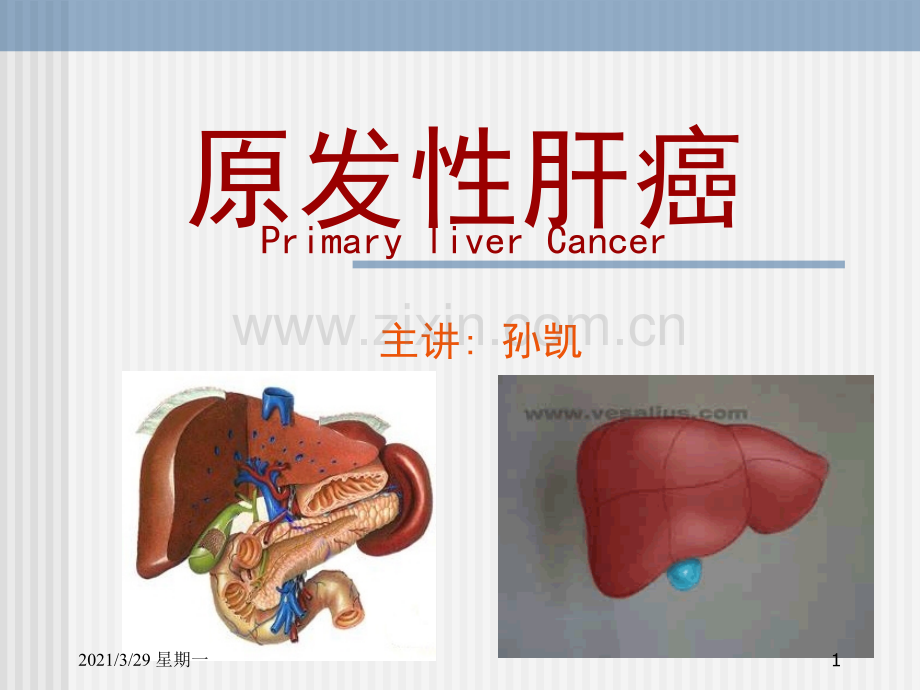 原发性肝癌51229【优质PPT】.ppt_第1页