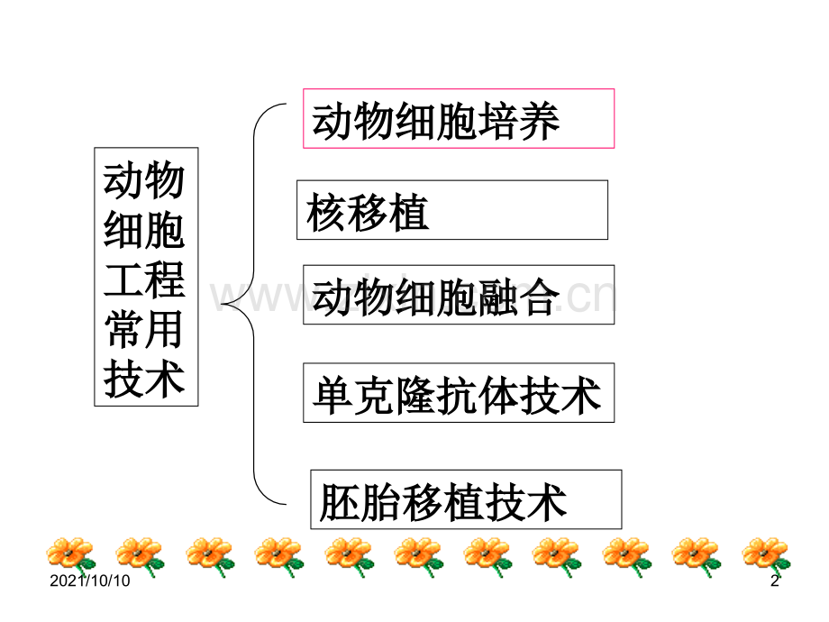 高中生物选修3(人教版)动物细胞工程课件.ppt_第2页