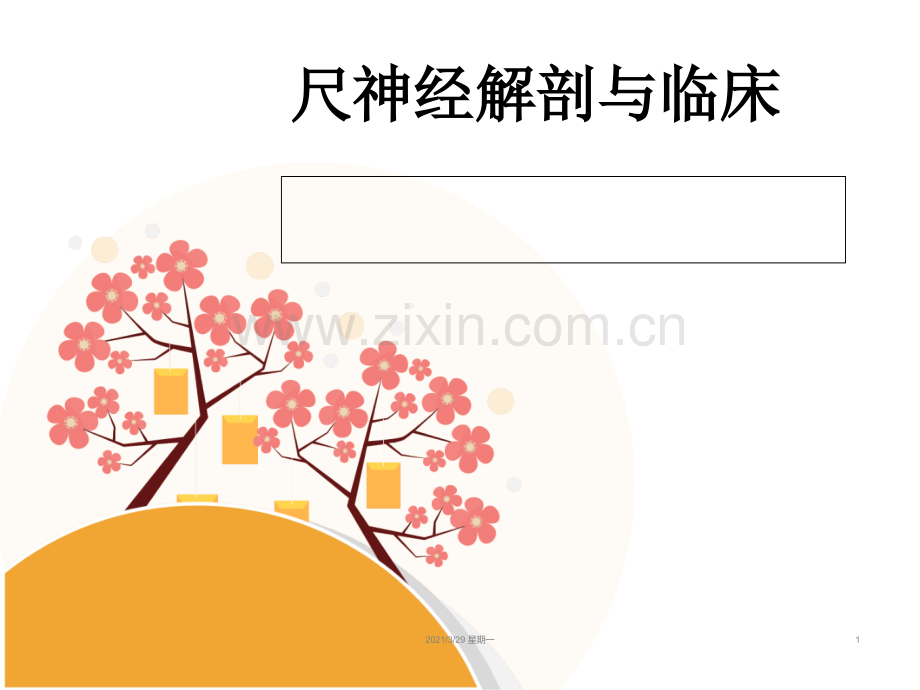 尺神经解剖及临床.ppt_第1页