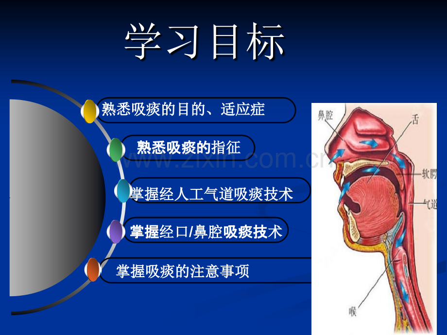 吸痰课件1.ppt_第2页