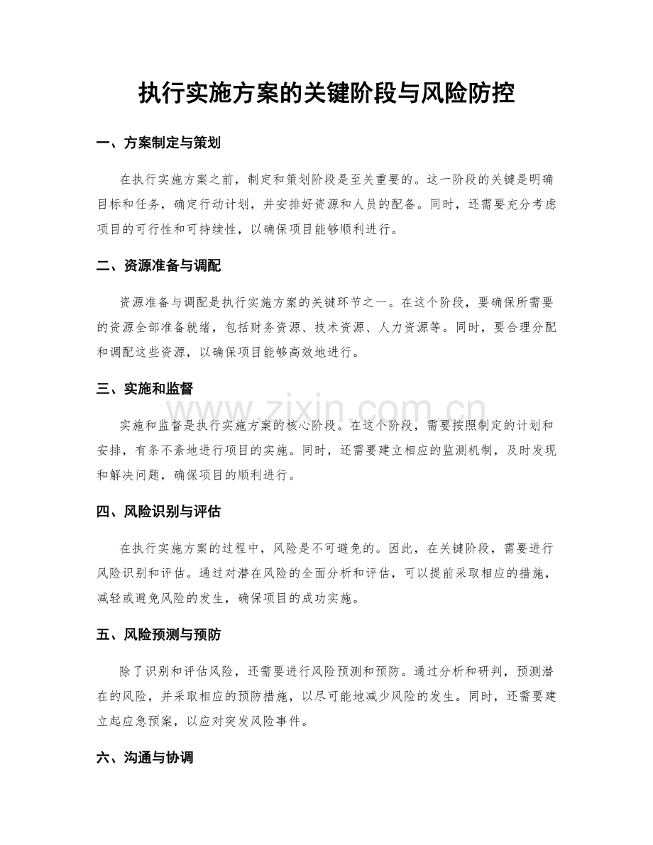 执行实施方案的关键阶段与风险防控.docx_第1页