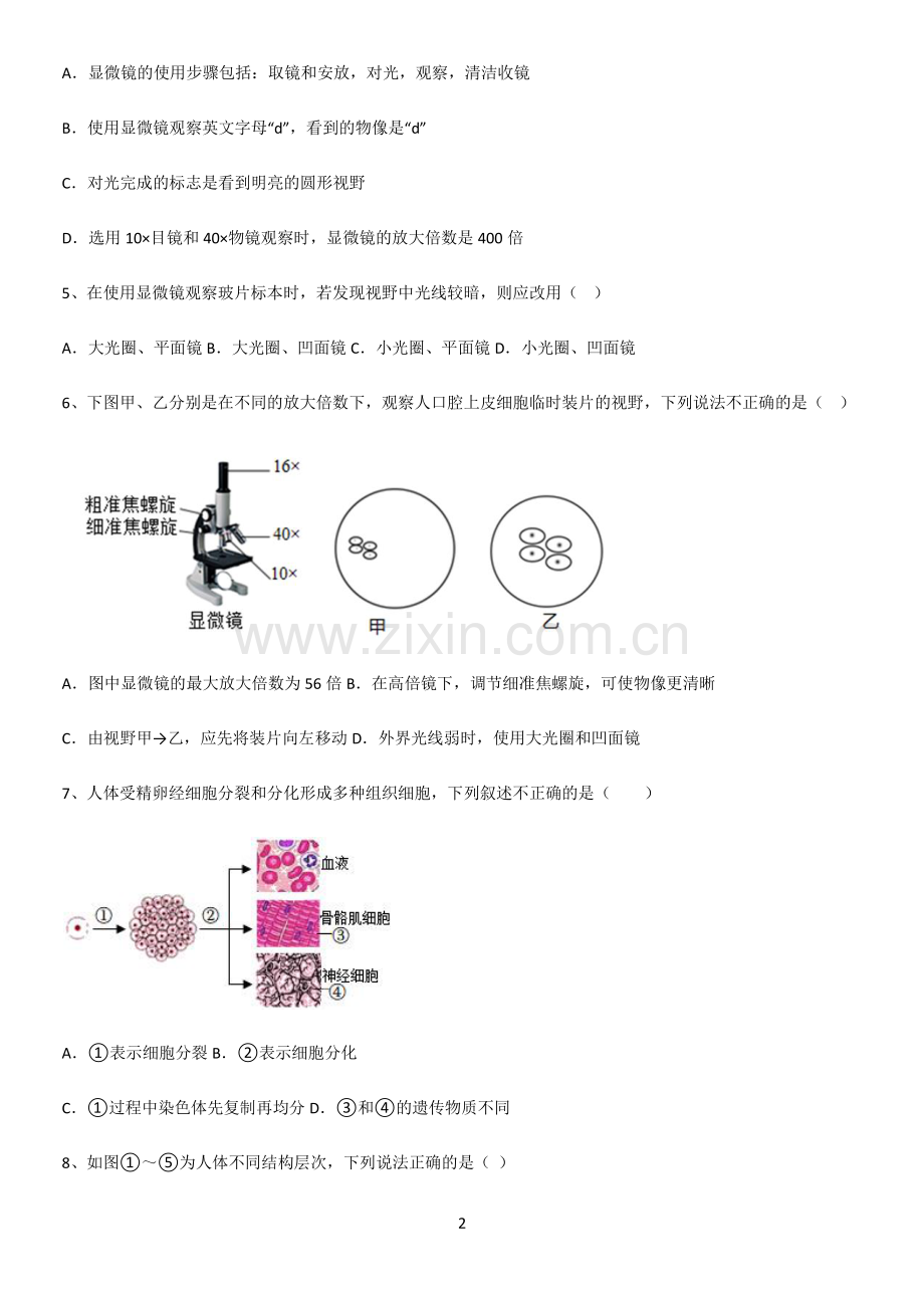 通用版初中生物七年级上册第二单元生物体的结构层次基础知识题库.pdf_第2页