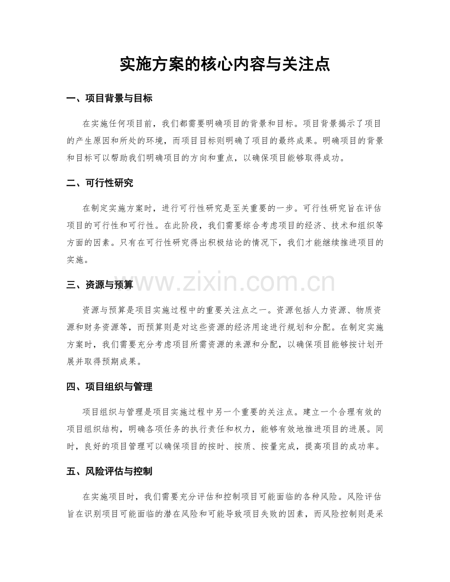 实施方案的核心内容与关注点.docx_第1页