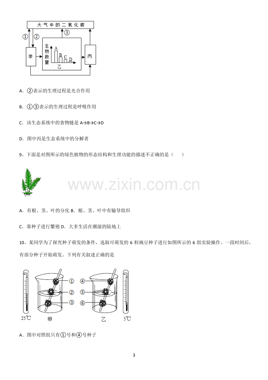 (文末附答案)人教版2022年初中生物生物圈中的绿色植物基础知识题库.pdf_第3页