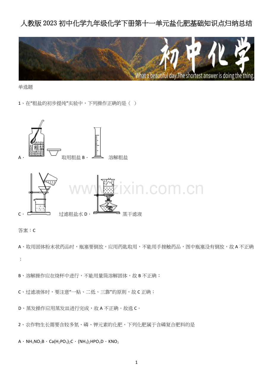 人教版2023初中化学九年级化学下册第十一单元盐化肥基础知识点归纳总结.docx_第1页