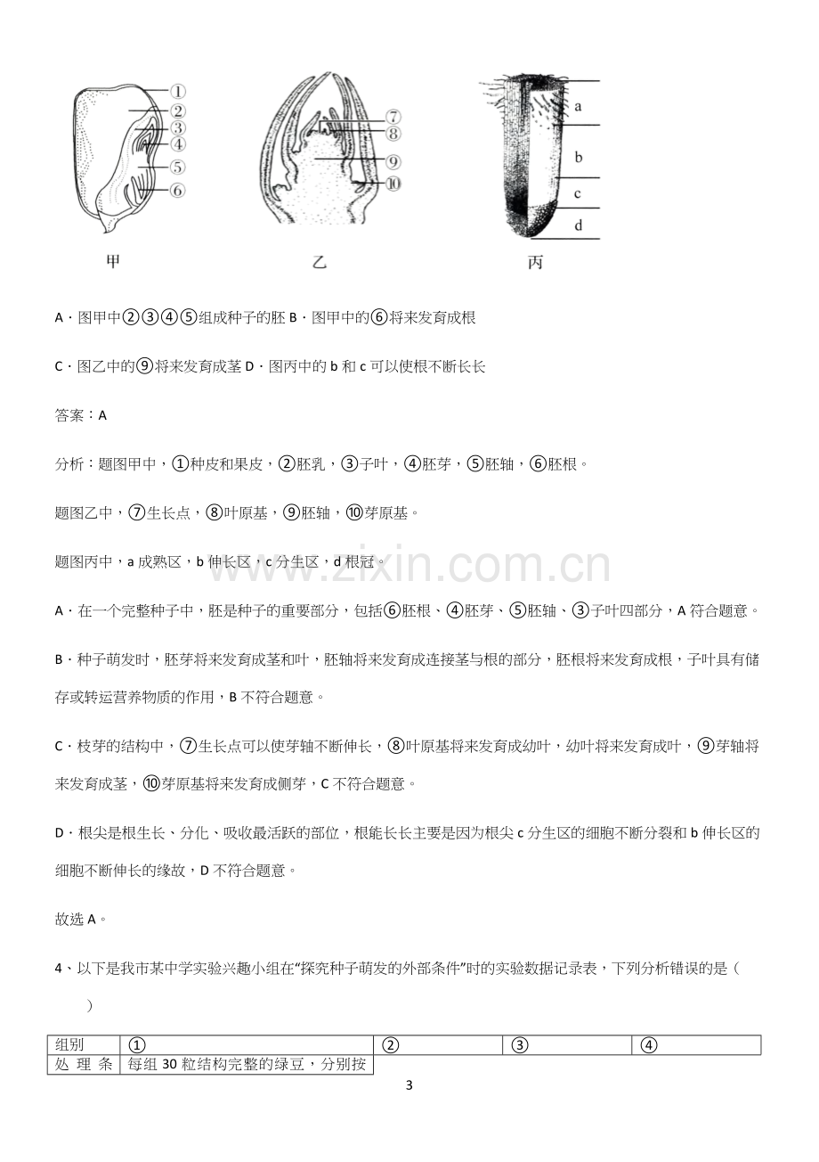 人教版2023初中生物七年级上册第三单元生物圈中的绿色植物常考点(精选试题附答案).docx_第3页