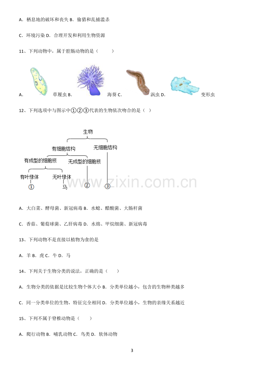 (含答案)八年级生物第六单元生物的多样性及其保护必考知识点归纳.pdf_第3页