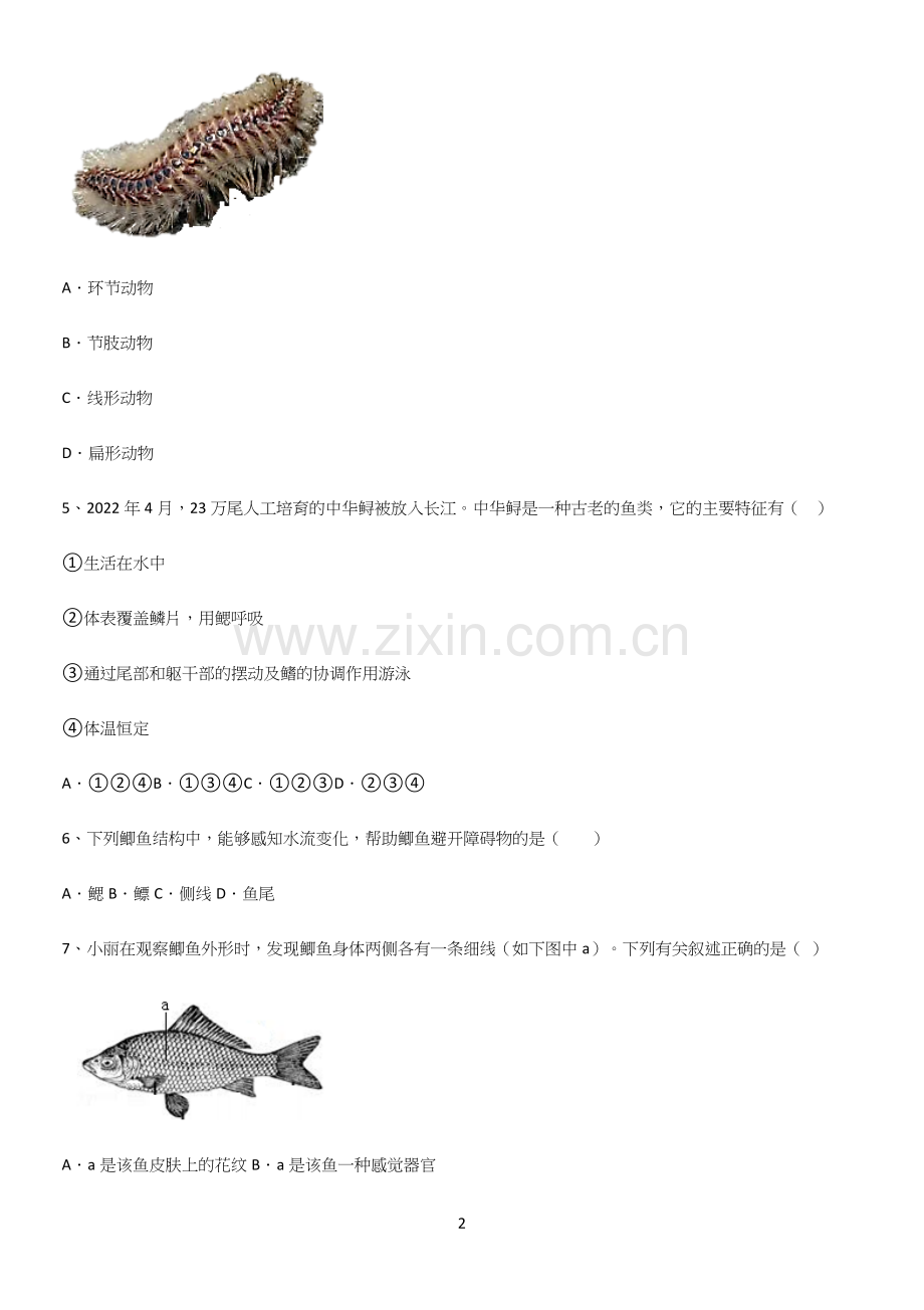 通用版初中生物八年级上册第五单元生物圈中的其他生物重点知识点大全.docx_第2页