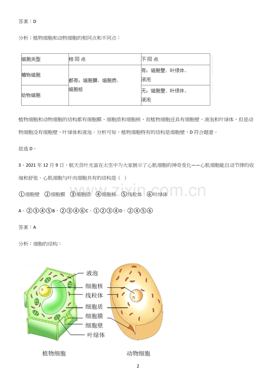 人教版初中生物七年级上册第二单元生物体的结构层次知识点总结全面整理(精选试题附答案).docx_第2页