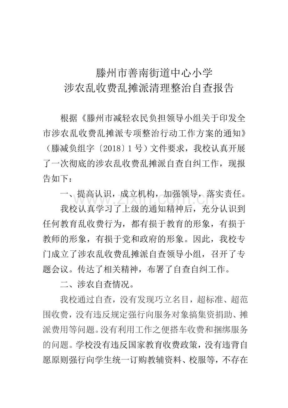 善南中心小学涉农收费自查报告.doc_第1页