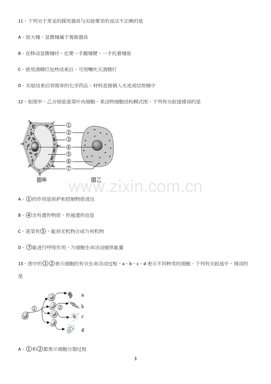 通用版初中生物七年级上册第二单元生物体的结构层次考点突破(精选试题附答案).docx_第3页