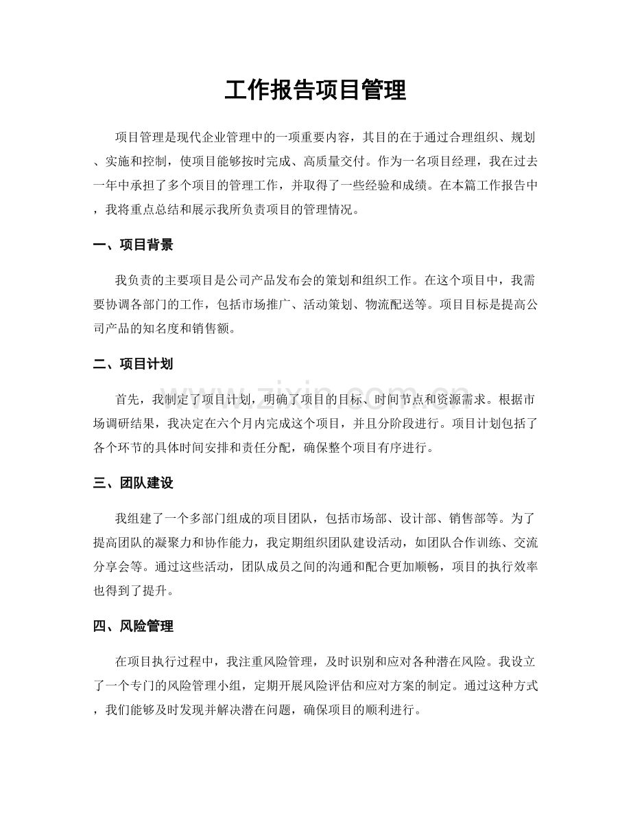 工作报告项目管理.docx_第1页