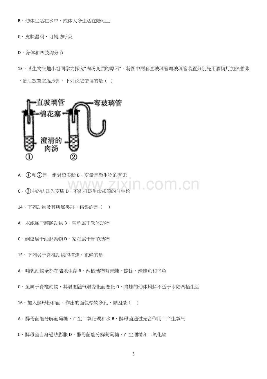 通用版初中生物八年级上册第五单元生物圈中的其他生物总结(重点)超详细(精选试题附答案).docx_第3页