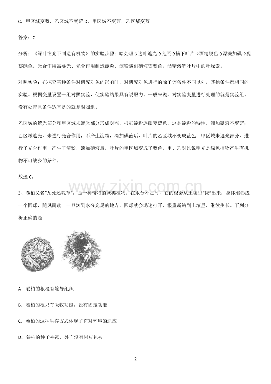 人教版初中生七年级上册第三单元生物圈中的绿色植物知识点总结(超全).pdf_第2页