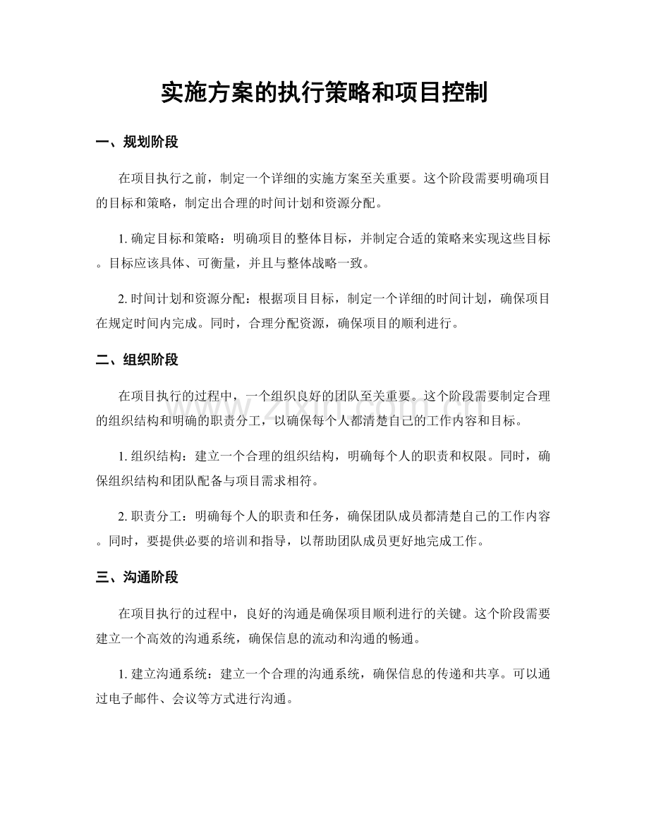 实施方案的执行策略和项目控制.docx_第1页