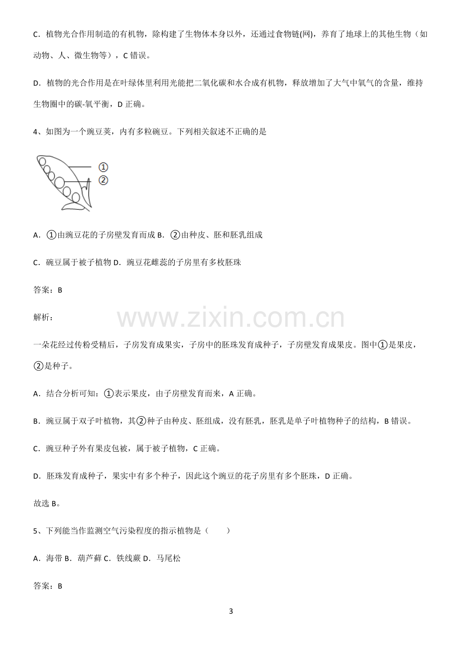 2022届初中生物生物圈中的绿色植物知识点汇总.pdf_第3页