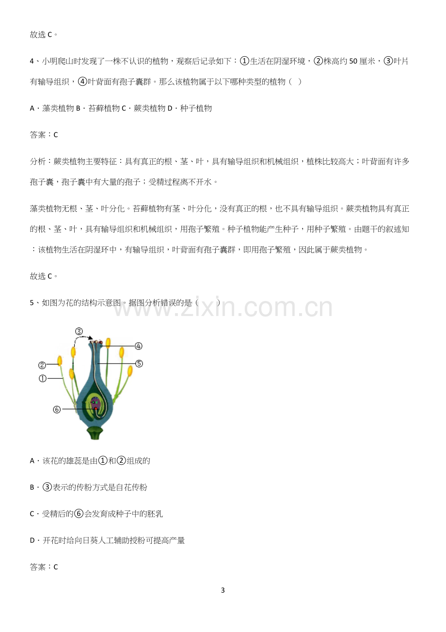 人教版2023初中生物七年级上册第三单元生物圈中的绿色植物考点题型与解题方法(精选试题附答案).docx_第3页