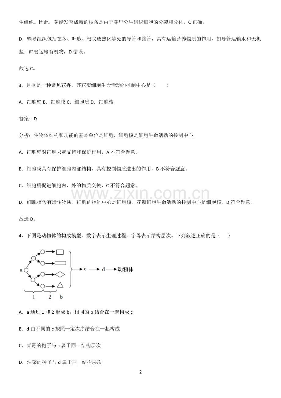 人教版初中生物七年级上册第二单元生物体的结构层次考点大全笔记.pdf_第2页