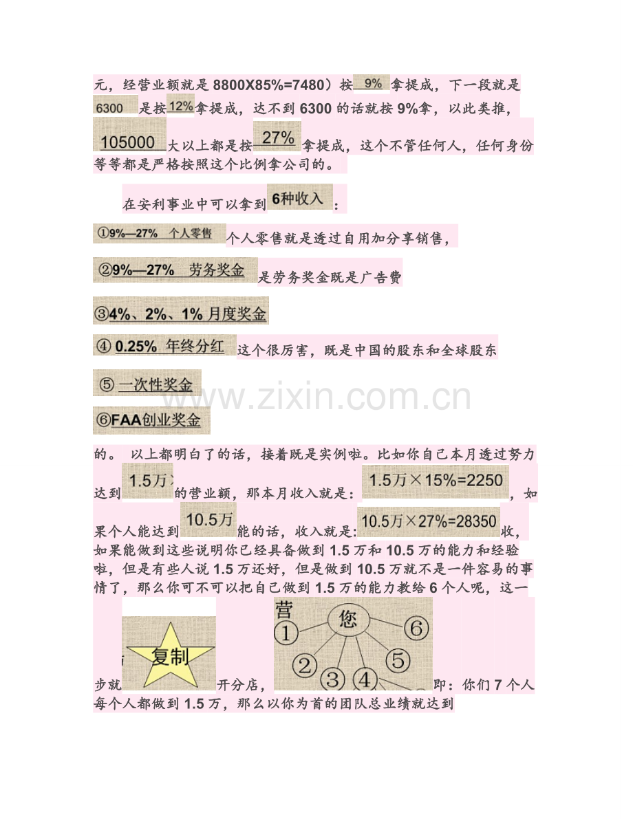 2010年安利奖金分配制度PPT制度文字解析.doc_第3页