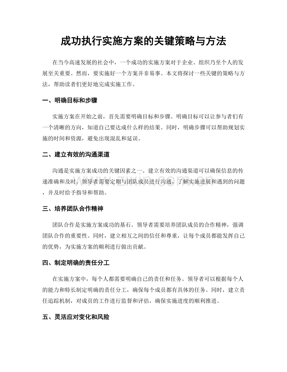 成功执行实施方案的关键策略与方法.docx_第1页