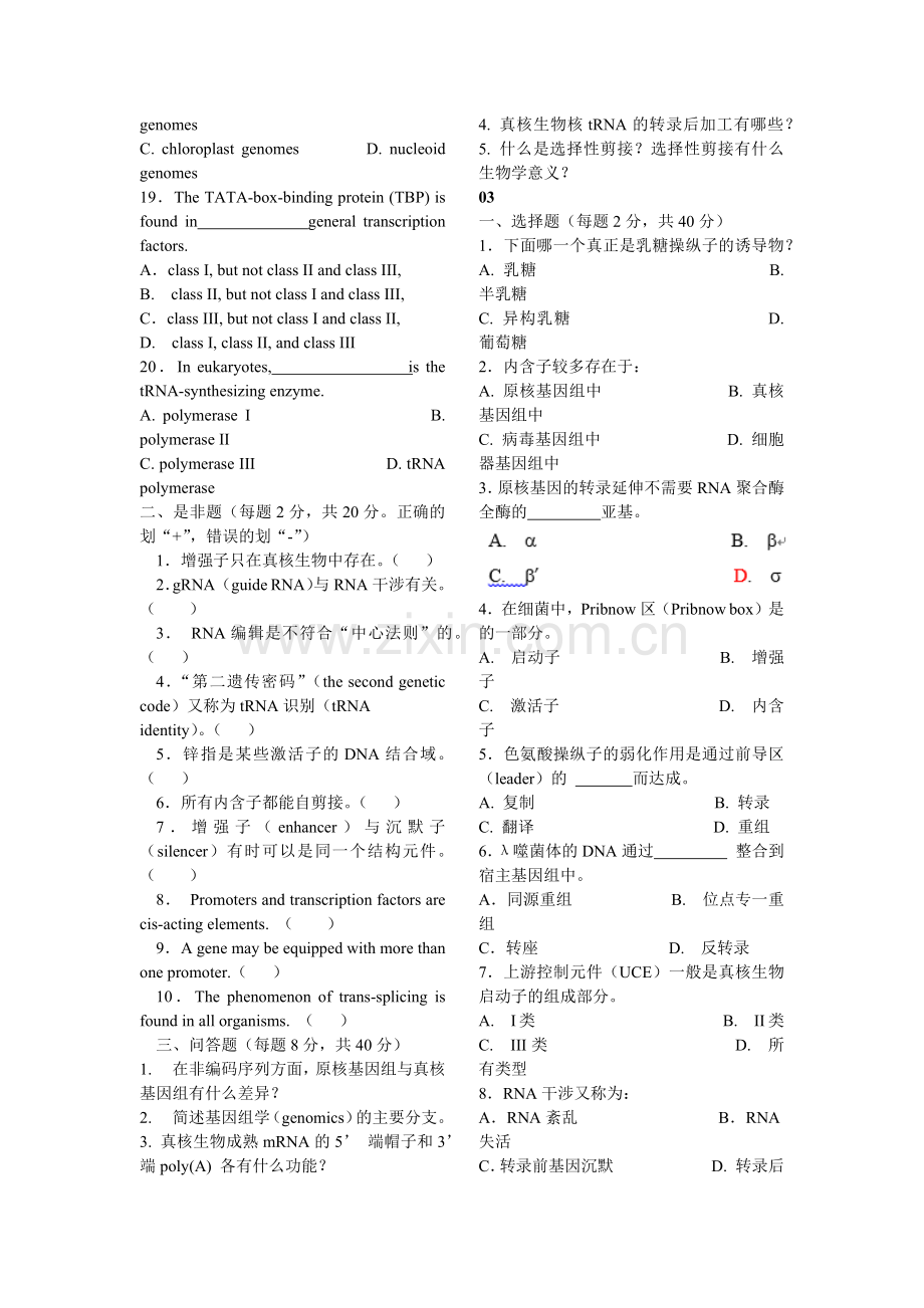 分子生物学复习题库.doc_第2页