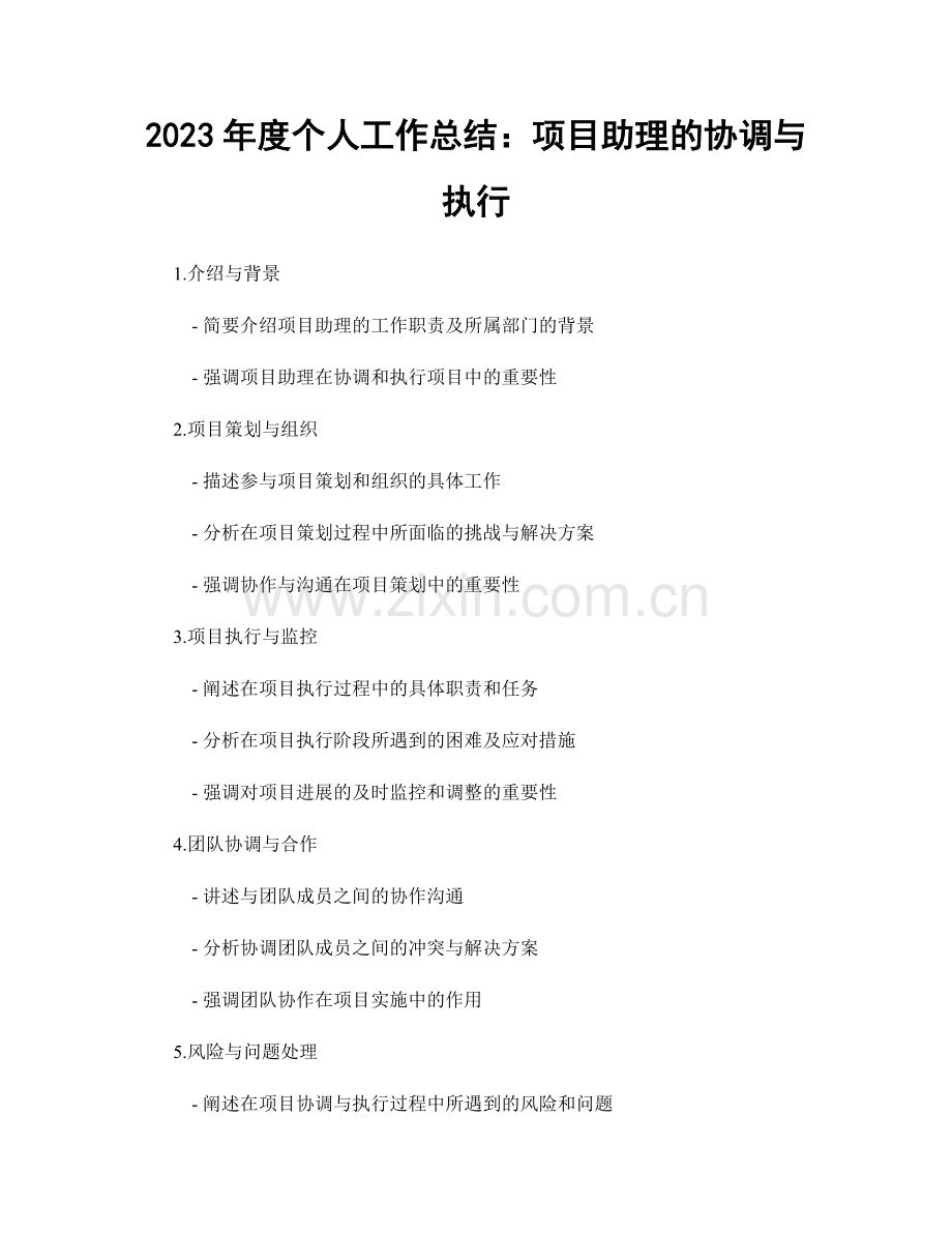 2023年度个人工作总结：项目助理的协调与执行.docx_第1页