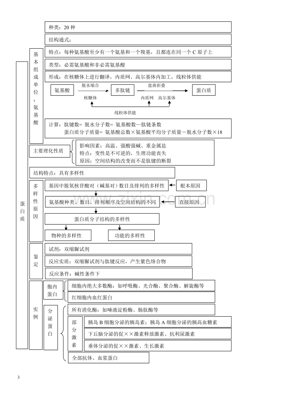 高中生物必修一知识点总结复习提纲非常全面清晰概念图.doc_第3页