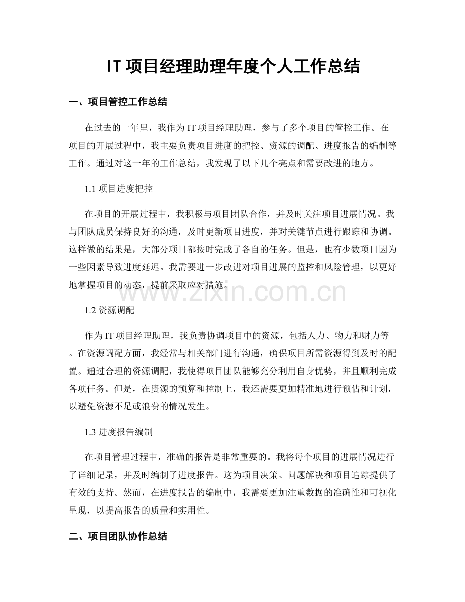 IT项目经理助理年度个人工作总结.docx_第1页